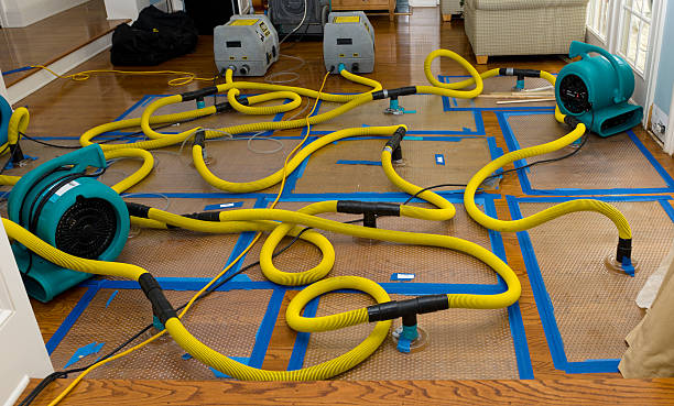 Professional Emergency Water Removal technician working in Gilliam, MO